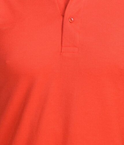 Fidato Mens Half Sleeves Polo T-shirt