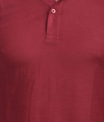 Fidato Mens Half Sleeves Polo T-shirt