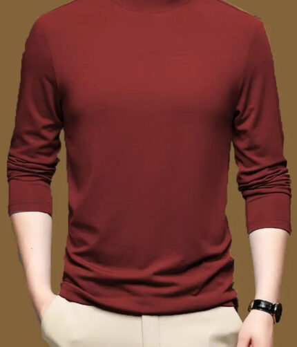 Lime Mens full sleeves turtle neck/high neck t shirt