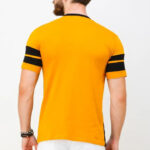 Preety Cotton Color Block Short Sleeves Multicolor T-shirts