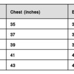 Men Cotton Blend Colourblocked Polos