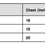 Men's Round Neck Printed Half Sleeve  T-shirt